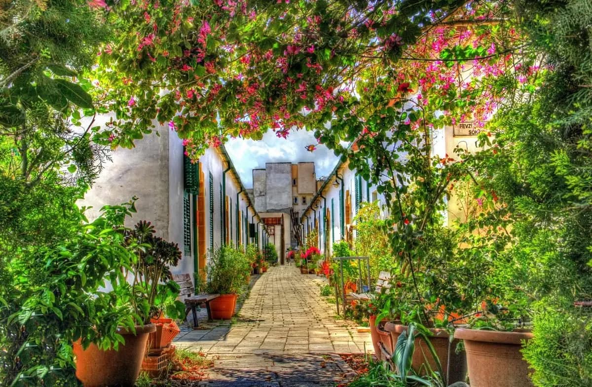 Samanbahçe Quarter, North Nicosia — another angle