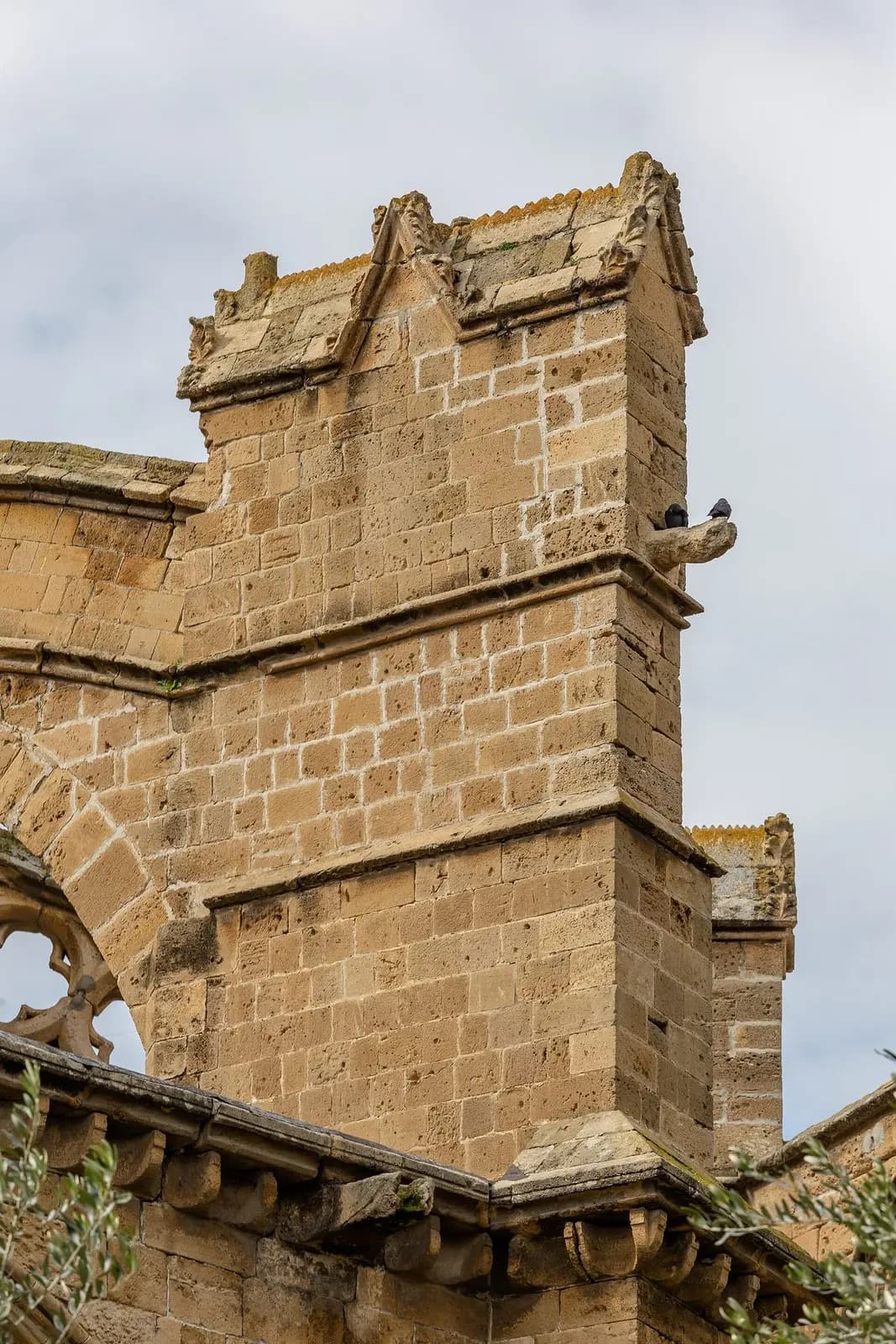 Selimiye Mosque (St. Sophia Cathedral), North Nicosia — another angle