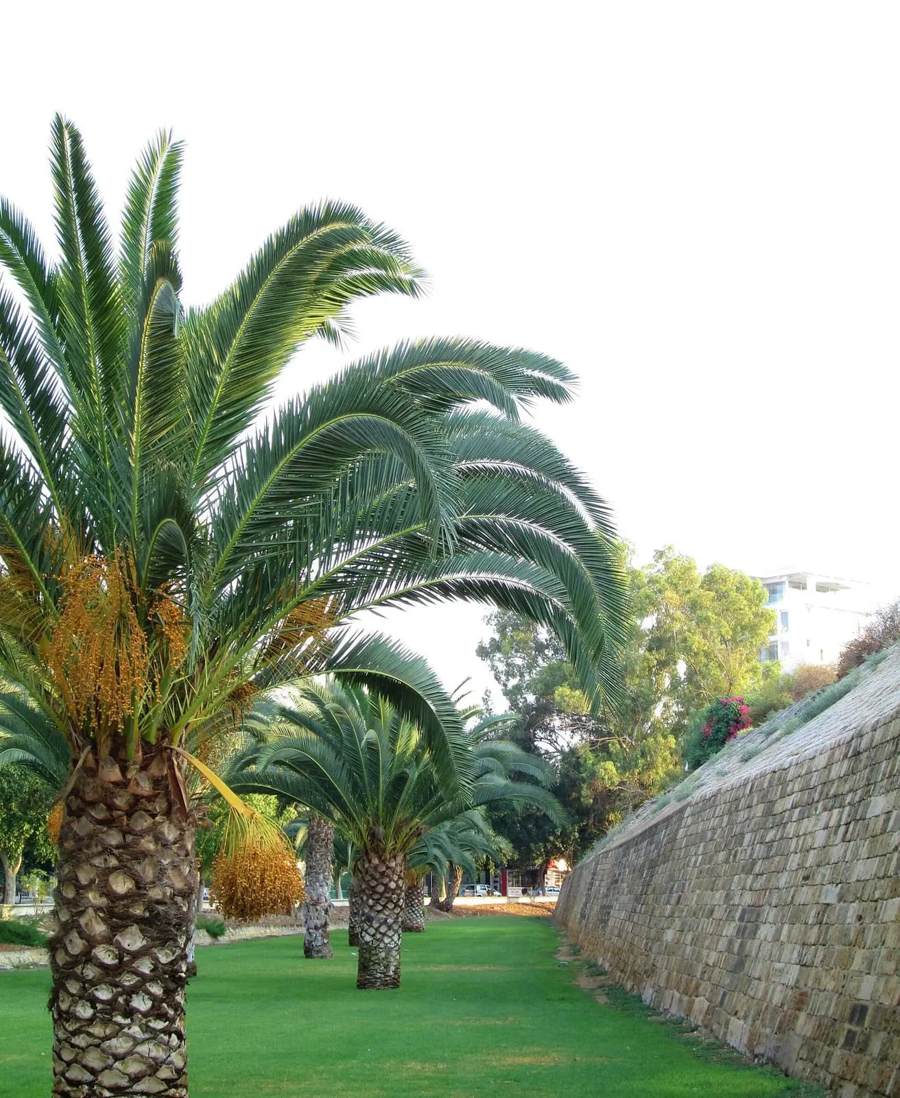 The Venetian Walls & Bastions, North Nicosia — detail